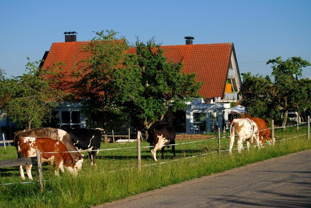 Wellnesshotel Schiesselhof Grafenhausen Zimmer foto